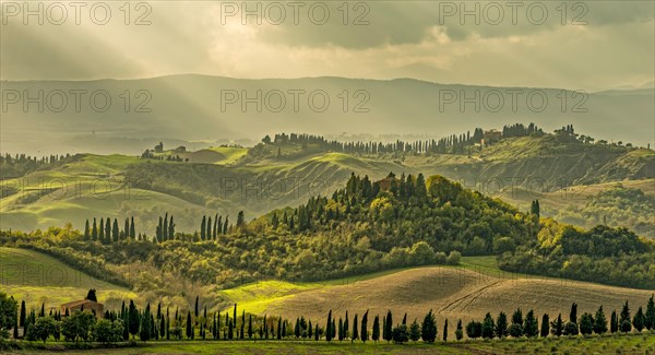 Landscape Crete Tuscany Panorama Italy