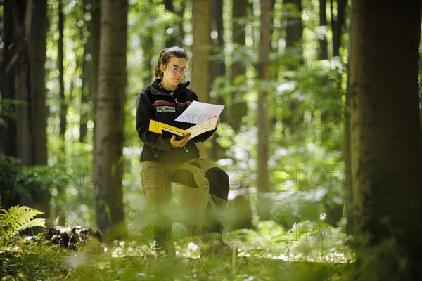 An employee of the Northwest German Forest Research Institute stands on an experimental plot in a deciduous forest in Lower Saxony. Here, research is being conducted into how the forest can be prepared for the challenges in times of climate change. Mackenrode, 28.06.2022, Mackenrode, Germany, Europe