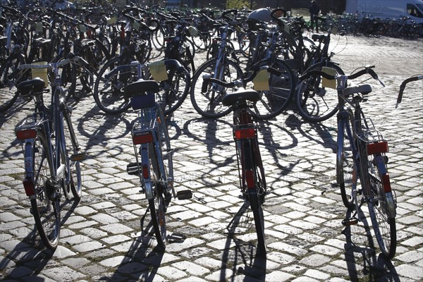 Parking bicycles backlit with price tags standing on the asphalt at a bicycle market, Germany, Europe