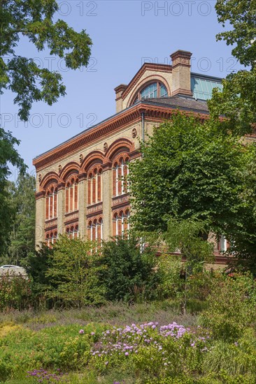 Museum of Ethnology at Kiel University, Walter-Gropius-Bau, Kieler Schlossgarten, Kiel, Schleswig-Holstein, Germany, Europe