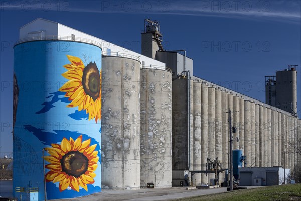 Toledo, Ohio, The Glass City River Wall, a sunflower mural by Gabe Gault, painted on the ADM grain silos on the Maumee River