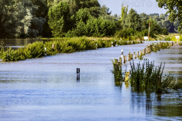 Flooding after heavy rain in North Rhine-Westphalia, nature reserve on the Grietherort and Bienener Altrhein, road flooded, flooding, alluvial deposits, Rees, North Rhine-Westphalia, Germany, Europe