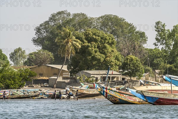 Djinack, Jinack Island, Sine Saloum Delta, Senegal, West Africa, Africa