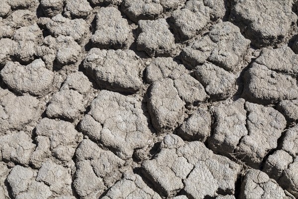 Salt Lake City, Utah, Dried mud is all thats left in the marina at Antelope Island State Park. The lakes water level has fallen to a historic low