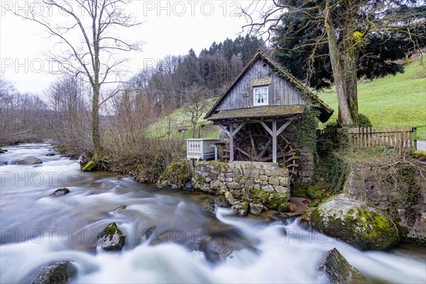 Rainbauernmuehle in the Black Forest, water-powered mill on the river Acher in Ottenhoefen, Baden-Wuerttemberg, Germany, Europe