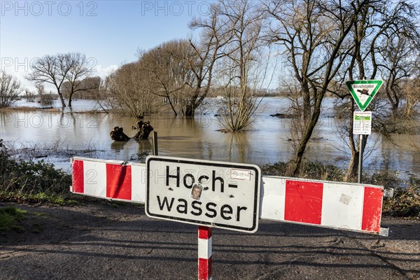 Flooding on the Rhine in the south of Duesseldorf, districts of Benrath and Urdenbach, Duesseldorf, North Rhine-Westphalia, Germany, Europe