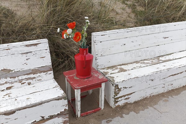 Red vase with artificial flowers between wooden benches, idyllic seating area on a dune path, Dutch North Sea coast, Bergen aan Zee, province North Holland, Netherlands