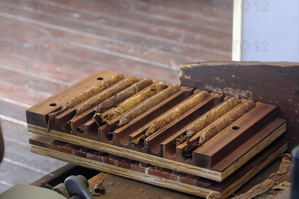 Making a cigar in the Centro Historico, Old Town of Puerto Plata, Dominican Republic, Caribbean, Central America