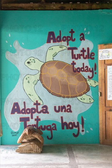 Tortuguero, Costa Rica, The Sea Turtle Conservancy visitor center next to Tortuguero National Park. Giant leatherback, hawksbill, and loggerhead turtles, along with the endangered green turtle, nest along the nearby Caribbean beach, Central America