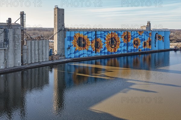 Toledo, Ohio, The Glass City River Wall, a sunflower mural by Gabe Gault, painted on the ADM grain silos on the Maumee River