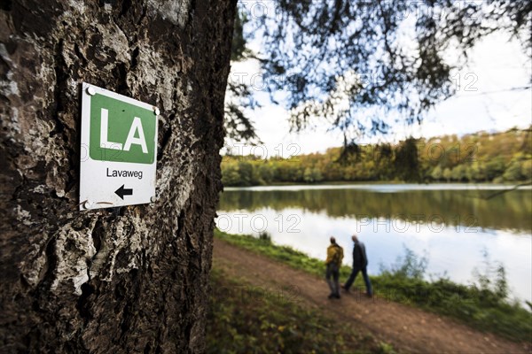 Holzmaar in the Volcanic Eifel, almost completely surrounded by forest, hiking trail, lava trail, circular trail, maar, maar, lake, nature reserve, Gillenfeld, Rhineland-Palatinate, Germany, Europe