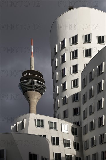 The New Customs Yard with a Gehry Building and the Rhine Tower, Duesseldorf, North Rhine-Westphalia, Germany, Europe