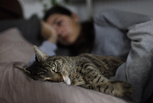 GIRL, THREE, cuddles with a cat, Bonn, Germany, Europe