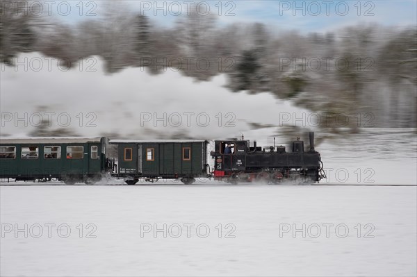 Winter steam locomotive ride of the Steyrtalbahn museum railway in Gruenburg, Upper Austria, Austria, Europe