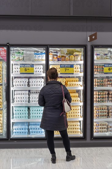 Macomb Twp., Michigan, A woman shops for eggs at a Meijer Grocery store, newly opened in suburban Detroit. The stores grocery-only concept is new for the chain. Its huge supercenters sell clothing, housewares, toys, electronics, and many other items as well as groceries