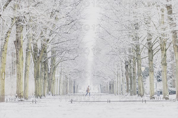 A man walks through the Tiergarten after snowfall at night in Berlin, Feb 06, 2023., Berlin, Germany, Europe