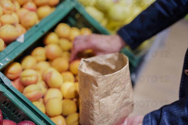 Selection of apricots, Radevormwald, Germany, Europe