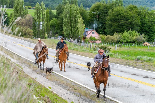 Three gauchos riding horses, accompanied by dogs, on a road in Villa Cerro Castillo, Cerro Castillo National Park, Aysen, Patagonia, Chile, South America