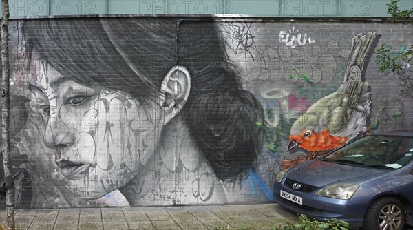 Woman and Bird, Street Art, Bristol, England, Great Britain