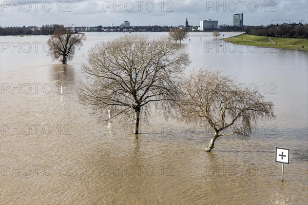 Flooding on the Rhine in Duesseldorf, view towards Oberkassel and Heerdt, flooding, floodplains, Rhine meadows, alluvial deposits, dike, Duesseldorf, North Rhine-Westphalia, Germany, Europe