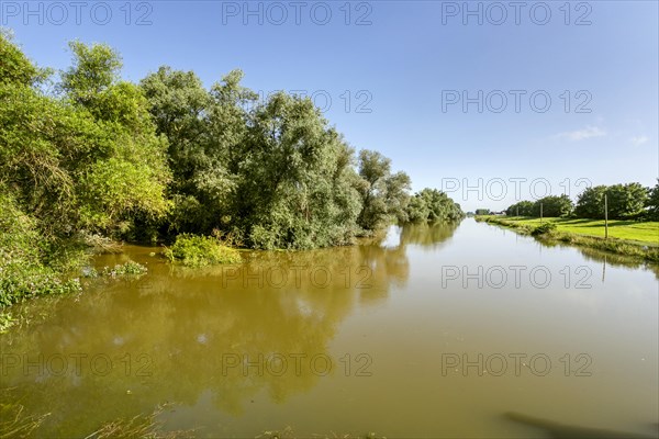 Flooding after heavy rain in North Rhine-Westphalia in the nature reserve at the Grietherorter and Bienener Altrhein, Rees, North Rhine-Westphalia, Germany, Europe