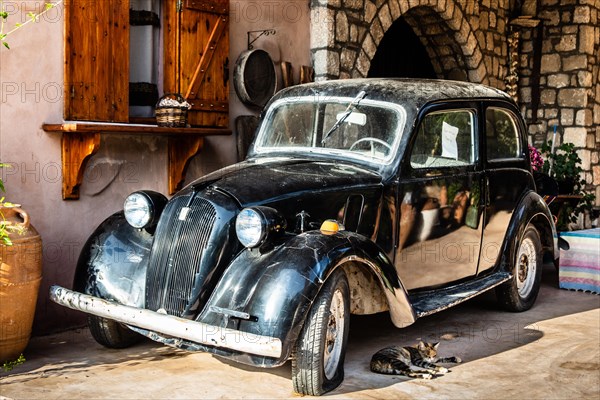 Cat with vintage car, old oil mill, Archangelos, Rhodes, Greece, Europe