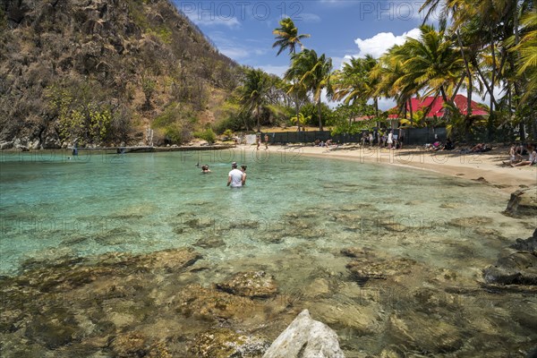 Plage du Pain de sucre beach, Terre-de-Haut island, Les Saintes, Guadeloupe, Caribbean, France, North America