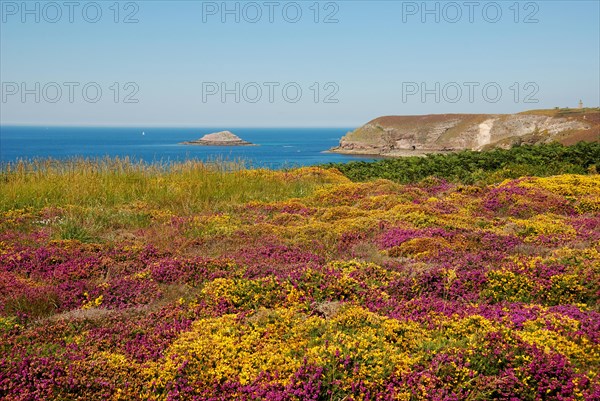 Cap Frehel, 22 Cote dArmor in July