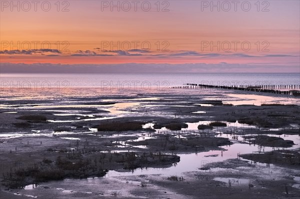 Evening landscape shortly after sunset with draining water in the Wadden Sea National Park. The Wadden Sea off the North Frisian coast is a UNESCO World Heritage Site. Dike at Strandweg, Friedrichskoog, Schleswig-Holstein, Germany, Europe