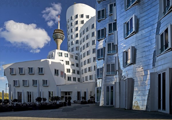 The Neue Zollhof with two Gehry buildings and the Rhine Tower, Duesseldorf, North Rhine-Westphalia, Germany, Europe