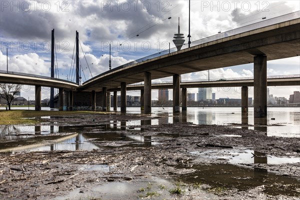 Flooding on the Rhine at the Rheinkniebruecke in Duesseldorf, flooding of the Rhine meadows, skyline, Rhine Tower, Duesseldorf, North Rhine-Westphalia, Germany, Europe