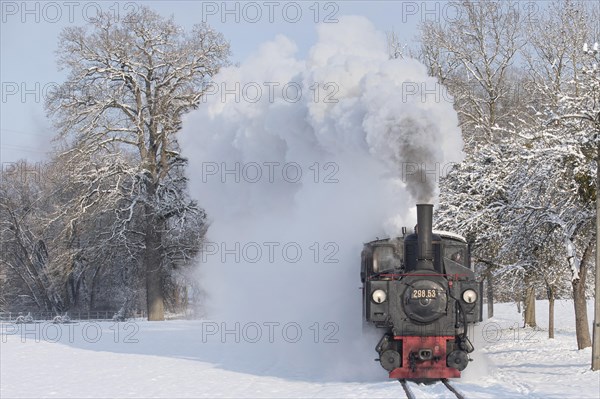 Winter steam locomotive ride of the Steyrtalbahn museum railway in Gruenburg, Upper Austria, Austria, Europe