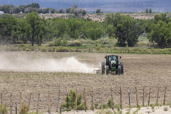 Olathe, Colorado, A farmer pulls a harrow to till a dry farm field in western Colorado