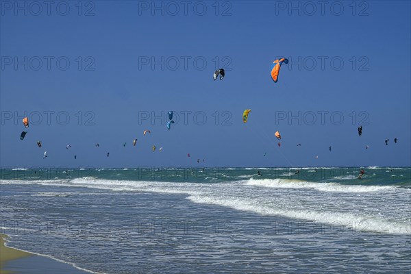 Kite surfers in the sea off Cabarete, Cabarete, Dominican Republic, Caribbean, Central America