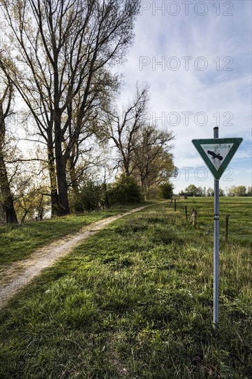 Nature reserve on the Grietherort and Bienener Altrhein, hiking trail, Rees, North Rhine-Westphalia, North Rhine-Westphalia, Germany, Europe