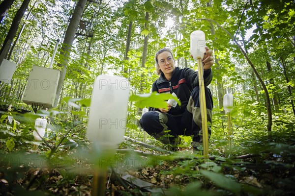An employee of the Northwest German Forest Research Institute checks so-called tensiometers for the automatic recording of soil moisture on an experimental plot in a deciduous forest in Lower Saxony. Here, research is being conducted on how the forest can be prepared for the challenges in times of climate change. Mackenrode, 28.06.2022, Mackenrode, Germany, Europe