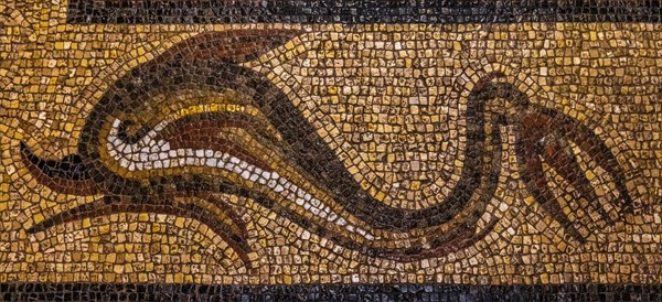 Fish mosaic from Kos, 3rd century, Grand Masters Palace built in the 14th century by the Johnnite Order, fortress and palace for the Grand Master, UNESCO World Heritage Site, Old Town, Rhodes Town, Greece, Europe