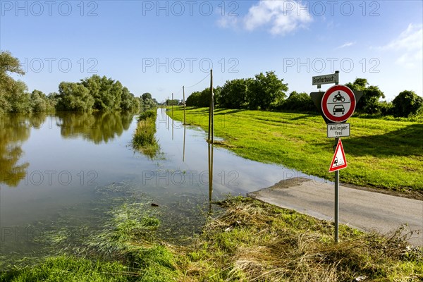 Flooding after heavy rain in North Rhine-Westphalia, nature reserve on the Grietherort and Bienener Altrhein, road flooded, flooding, alluvial deposits, Rees, North Rhine-Westphalia, Germany, Europe