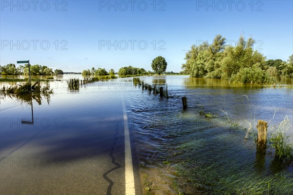 Flooding after heavy rain in North Rhine-Westphalia, nature reserve on the Grietherort and Bienener Altrhein, road flooded, flooding, alluvial deposits, Rees, North Rhine-Westphalia, Germany, Europe