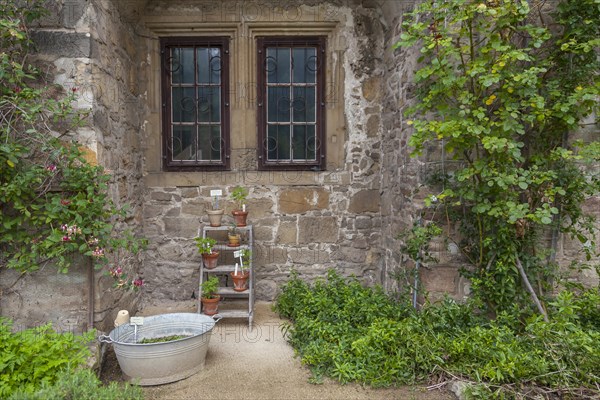 Michaelstein Monastery, Herb Garden, Detail, Blankenburg, Harz Mountains, Saxony-Anhalt, Germany, Europe