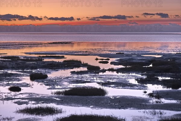 Evening landscape shortly after sunset with draining water in the Wadden Sea National Park. The Wadden Sea off the North Frisian coast is a UNESCO World Heritage Site. Dike at Strandweg, Friedrichskoog, Schleswig-Holstein, Germany, Europe