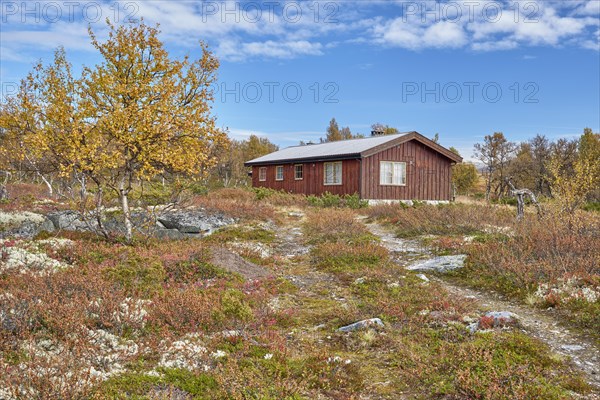 Autumn landscape in Rondane National Park, Cottage, Tundra, Oppland, Norway, Europe