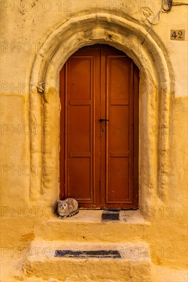 Gate with cat, Old Town alley, Rhodes Town, Greece, Europe