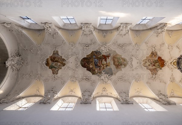 Interior with painted ceiling vault of the Catholic parish church of St. Peter and Paul, former collegiate church, Romanesque columned basilica, Unesco World Heritage Site, Niederzell on the island of Reichenau in Lake Constance, Constance district, Baden-Wuerttemberg, Germany, Europe