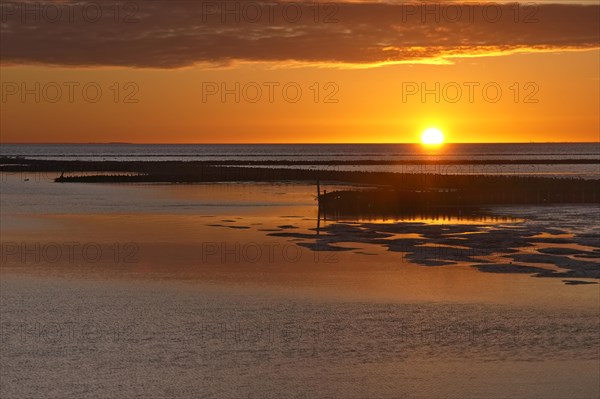 Sunset at low tide in the Wadden Sea National Park. Groynes protect the tidal flats. The Wadden Sea off the North Frisian coast is a UNESCO World Heritage Site. Schoepfwerk Suedwesthoern, Emmelsbuell-Horsbuell, Schleswig-Holstein, Germany, Europe