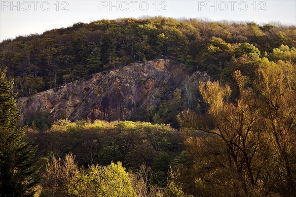 Wartenberg in the late evening light, Witten, Ruhr area, North Rhine-Westphalia, Germany, Europe