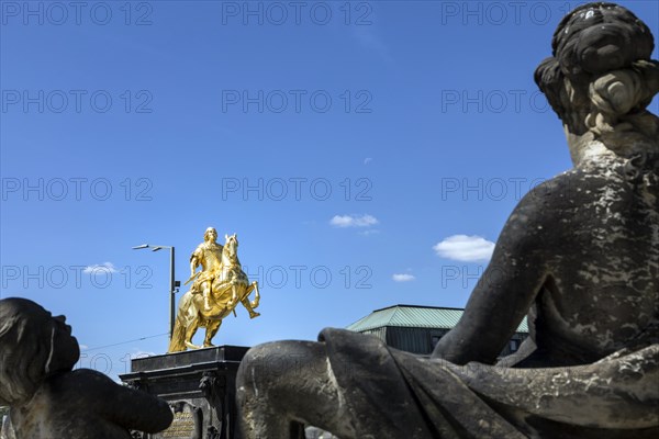 Golden Rider, August the Strong as a golden equestrian statue at the end of the main street on Neustaedter Markt, Dresden, Saxony, Germany, Europe