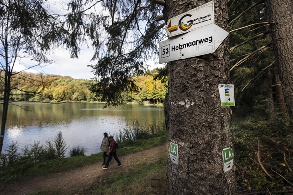 Holzmaar in the Volcanic Eifel, almost completely surrounded by forest, hiking trail, Holzmaarweg, geo-route, lava trail, circular trail, maar, maar, lake, nature reserve, Gillenfeld, Rhineland-Palatinate, Germany, Europe