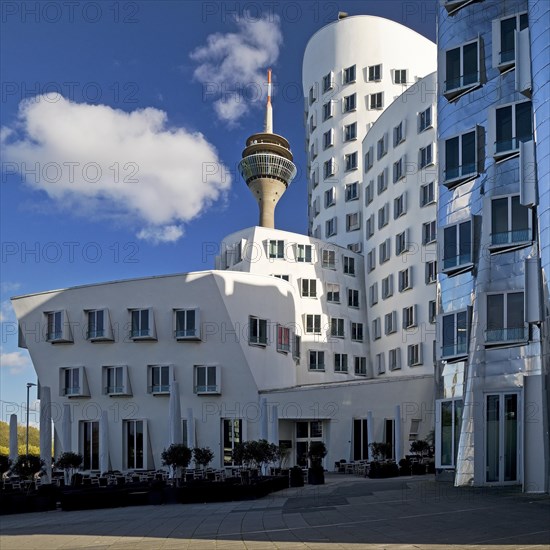 The Neue Zollhof with two Gehry buildings and the Rhine Tower, Duesseldorf, North Rhine-Westphalia, Germany, Europe