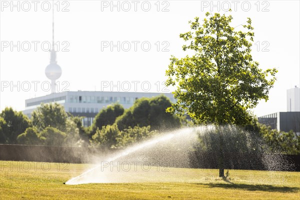 A meadow and a tree are watered in the government district Berlin, 22.06.2022., Berlin, Germany, Europe